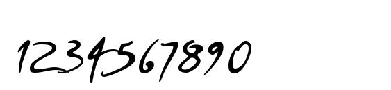 PFDaVinciScriptPro Regular Font, Number Fonts