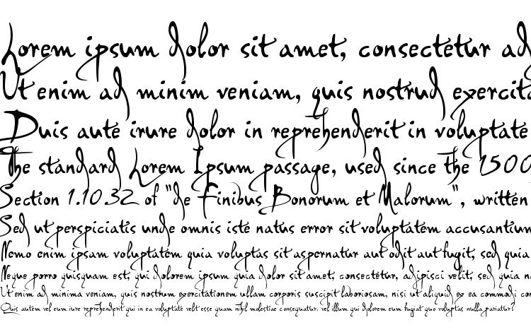 specimens PFDaVinciScriptPro Regular font, sample PFDaVinciScriptPro Regular font, an example of writing PFDaVinciScriptPro Regular font, review PFDaVinciScriptPro Regular font, preview PFDaVinciScriptPro Regular font, PFDaVinciScriptPro Regular font