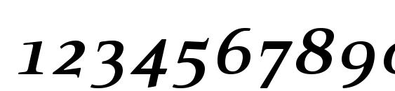 PFExecutive BoldItalic Font, Number Fonts