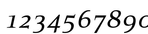 PFExecutive Italic Font, Number Fonts