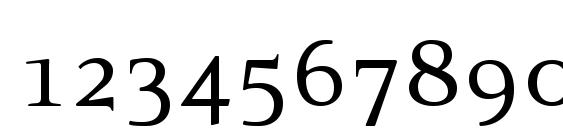 PFExecutive Regular Font, Number Fonts