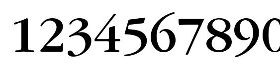 PFGaramondText Medium Font, Number Fonts