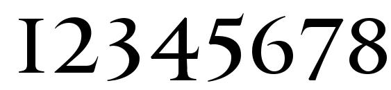 PFMonumentaPro Regular Font, Number Fonts