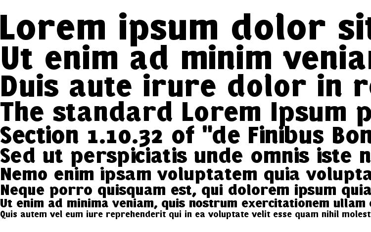 specimens PFMuse Black font, sample PFMuse Black font, an example of writing PFMuse Black font, review PFMuse Black font, preview PFMuse Black font, PFMuse Black font