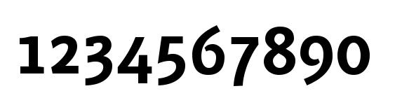 PFMuse Bold Font, Number Fonts