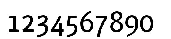 PFMuse Regular Font, Number Fonts