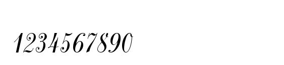 PFNeuScript Font, Number Fonts