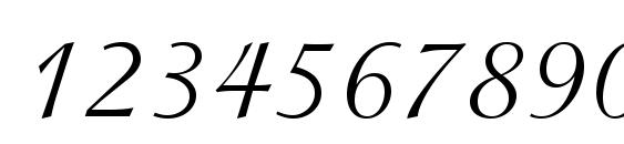 PG Isadora Cyr Pro Regular Font, Number Fonts