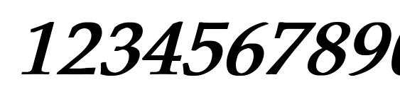 Pheasant Bold Italic Font, Number Fonts