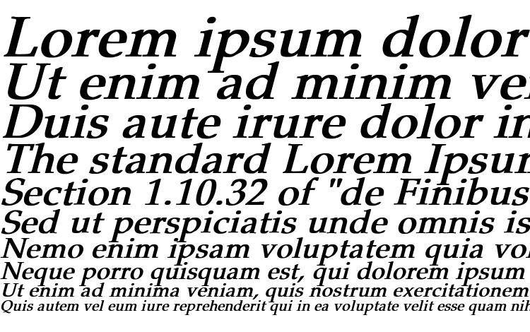 specimens Pheasant Bold Italic font, sample Pheasant Bold Italic font, an example of writing Pheasant Bold Italic font, review Pheasant Bold Italic font, preview Pheasant Bold Italic font, Pheasant Bold Italic font