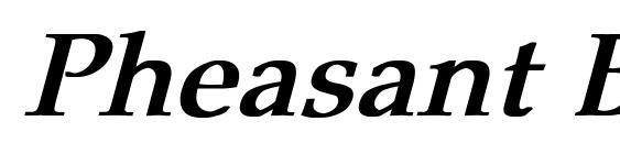Pheasant Bold Italic font, free Pheasant Bold Italic font, preview Pheasant Bold Italic font