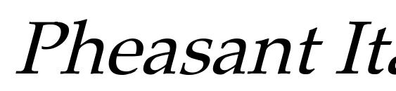 Pheasant Italic font, free Pheasant Italic font, preview Pheasant Italic font