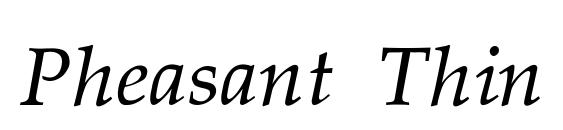 Pheasant Thin Italic Font