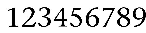 Phonetica Font, Number Fonts