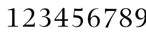 PhotinaMTStd Font, Number Fonts