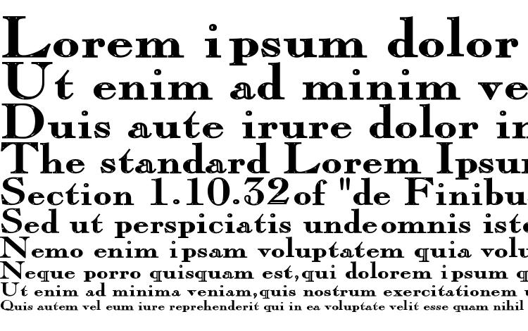 specimens Pinchi Bold font, sample Pinchi Bold font, an example of writing Pinchi Bold font, review Pinchi Bold font, preview Pinchi Bold font, Pinchi Bold font