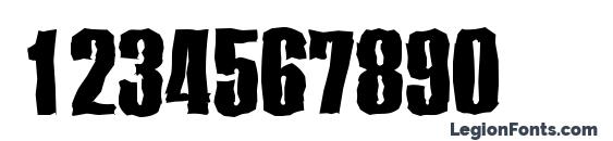 PlaketteAntique Xbold Regular Font, Number Fonts
