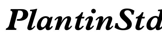 шрифт PlantinStd BoldItalic, бесплатный шрифт PlantinStd BoldItalic, предварительный просмотр шрифта PlantinStd BoldItalic