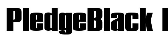 PledgeBlack Regular font, free PledgeBlack Regular font, preview PledgeBlack Regular font