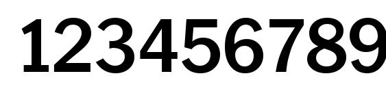 PlymouthSerial Bold Font, Number Fonts