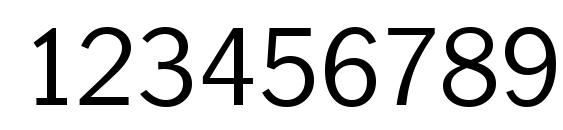 PlymouthSerial Light Regular Font, Number Fonts