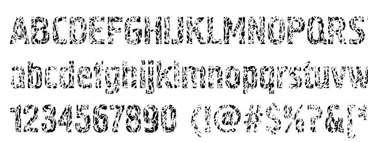 glyphs Pollock4c font, сharacters Pollock4c font, symbols Pollock4c font, character map Pollock4c font, preview Pollock4c font, abc Pollock4c font, Pollock4c font