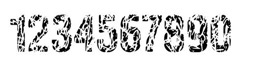 Pollock4c Font, Number Fonts