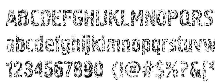 glyphs Pollock4CTT font, сharacters Pollock4CTT font, symbols Pollock4CTT font, character map Pollock4CTT font, preview Pollock4CTT font, abc Pollock4CTT font, Pollock4CTT font