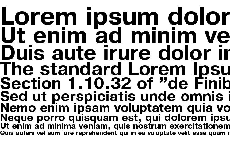 specimens Pragmatica Bold.001.001 font, sample Pragmatica Bold.001.001 font, an example of writing Pragmatica Bold.001.001 font, review Pragmatica Bold.001.001 font, preview Pragmatica Bold.001.001 font, Pragmatica Bold.001.001 font