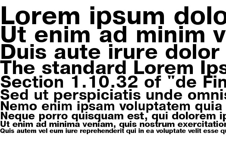 specimens Pragmatica Bold font, sample Pragmatica Bold font, an example of writing Pragmatica Bold font, review Pragmatica Bold font, preview Pragmatica Bold font, Pragmatica Bold font