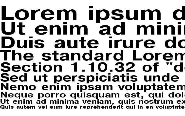 specimens PragmaticaCTT Bold125 font, sample PragmaticaCTT Bold125 font, an example of writing PragmaticaCTT Bold125 font, review PragmaticaCTT Bold125 font, preview PragmaticaCTT Bold125 font, PragmaticaCTT Bold125 font