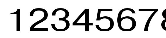 PragmaticaCTT120n Font, Number Fonts