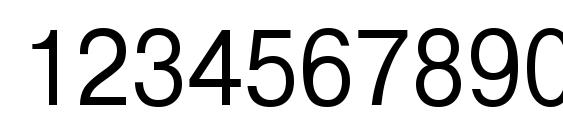 PragmaticaCTT90n Font, Number Fonts