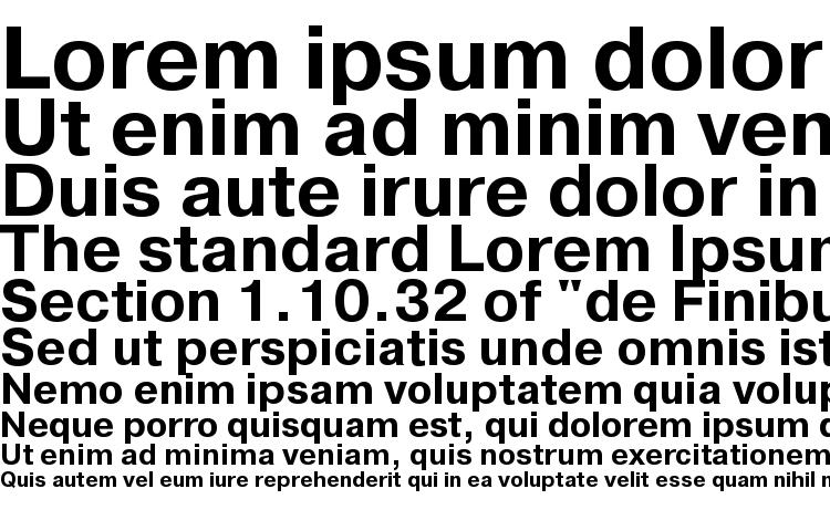 specimens PragmaticaISOCTT Bold font, sample PragmaticaISOCTT Bold font, an example of writing PragmaticaISOCTT Bold font, review PragmaticaISOCTT Bold font, preview PragmaticaISOCTT Bold font, PragmaticaISOCTT Bold font