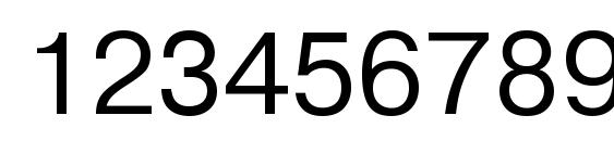 PragmaticaMGTT Normal Font, Number Fonts