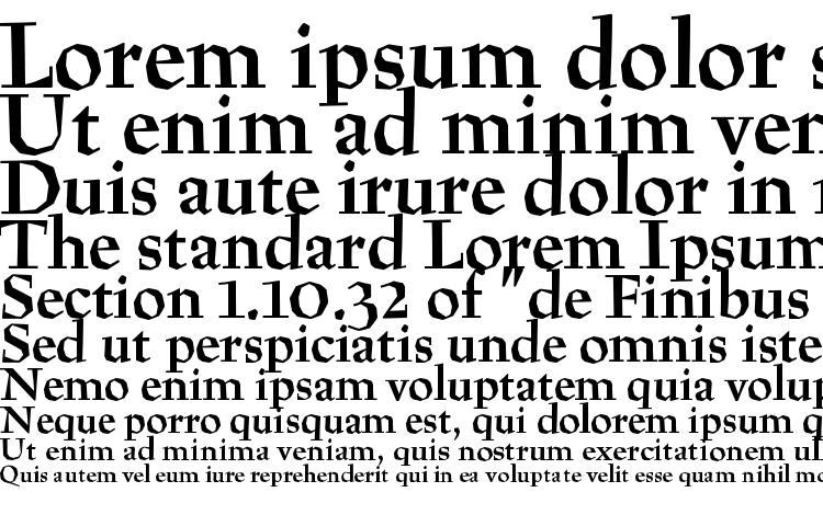 specimens Preissig Bold font, sample Preissig Bold font, an example of writing Preissig Bold font, review Preissig Bold font, preview Preissig Bold font, Preissig Bold font