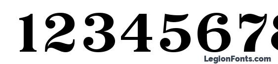 Priamos Serial Bold DB Font, Number Fonts
