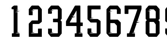 PROMESH Two Fast Font, Number Fonts