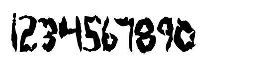 Protoplasm Condensed Font, Number Fonts