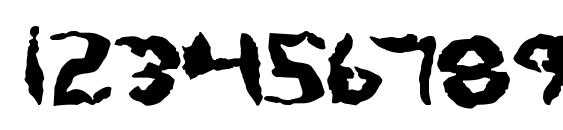 Protoplasm Font, Number Fonts