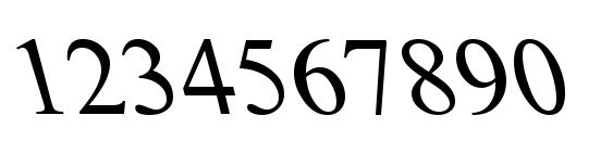 PT Bold Mirror Font, Number Fonts