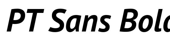 PT Sans Bold Italic font, free PT Sans Bold Italic font, preview PT Sans Bold Italic font