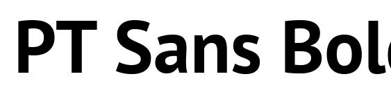 PT Sans Bold font, free PT Sans Bold font, preview PT Sans Bold font