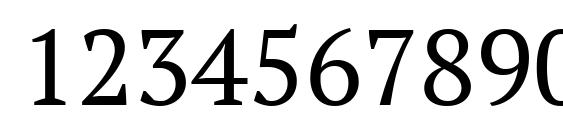 PT Serif Font, Number Fonts