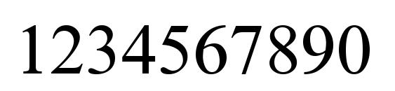 PT Simple Bold Ruled Font, Number Fonts