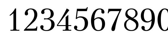 Ptr1 Font, Number Fonts