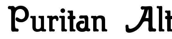 Puritan Alternate Bold Font