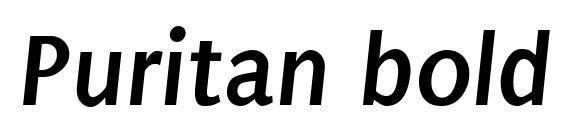 Puritan bold italic Font