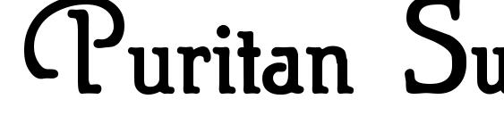 Puritan Swash Bold font, free Puritan Swash Bold font, preview Puritan Swash Bold font