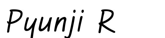 шрифт Pyunji R, бесплатный шрифт Pyunji R, предварительный просмотр шрифта Pyunji R